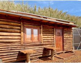 Rustic house