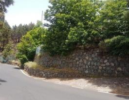 Semi detached house