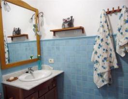 Semi detached house