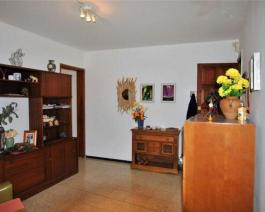 Semi detached house