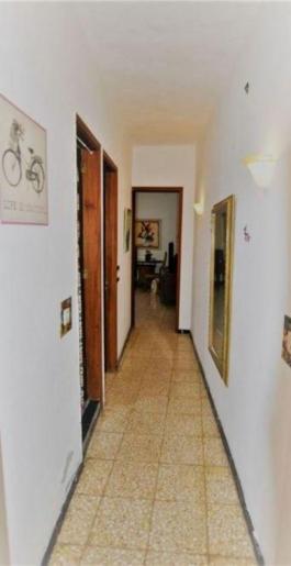 Semi detached house