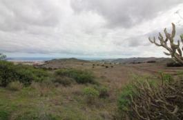 Piece of land