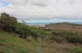 Piece of land