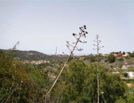 Piece of land