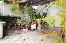 Semi detached house