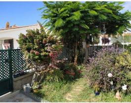 Semi detached house