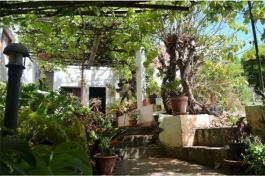Semi detached house