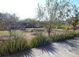 Piece of land