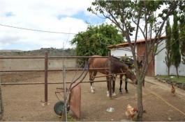 Semi detached house
