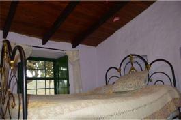 Semi detached house