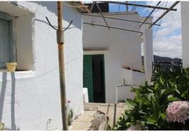 Semi detached house