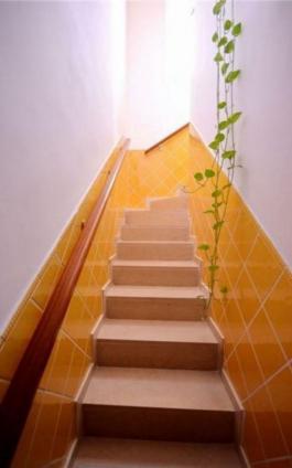 Semi detached house