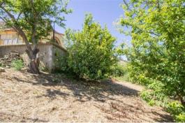 Semi detached house