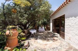 Semi detached house