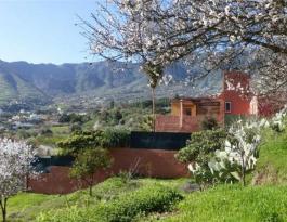 Semi detached house