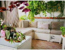 Semi detached house