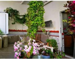 Semi detached house