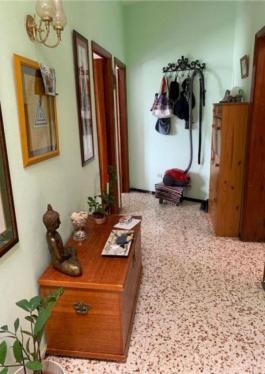 Semi detached house