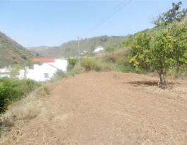 Semi detached house