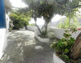Semi detached house