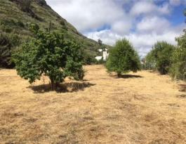 Piece of land