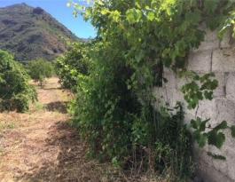 Piece of land