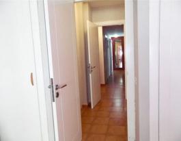 Intermediate house