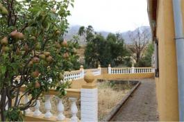 Semi detached house