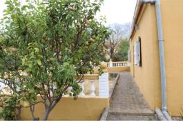 Semi detached house