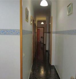 Semi detached house