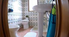 Semi detached house