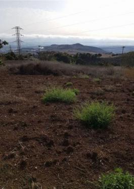 Piece of land