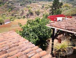 Semi detached house