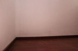 Chalet pareado