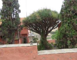 Chalet pareado