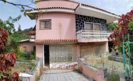Semi detached house