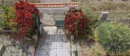 Semi detached house