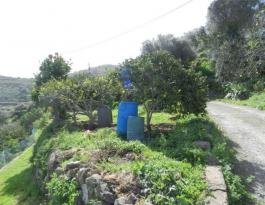 Semi detached house