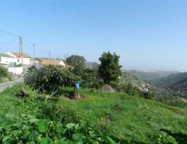 Semi detached house
