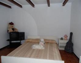 Chalet pareado
