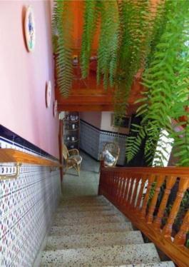 Chalet pareado