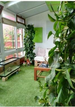 Semi detached house