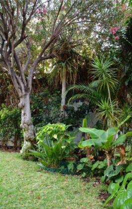 Semi detached house