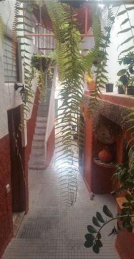 Semi detached house