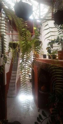 Semi detached house