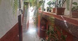 Semi detached house