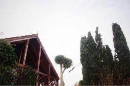Semi detached house
