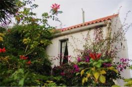 Semi detached house