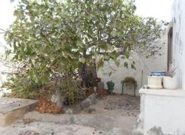 Semi detached house