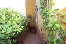 Semi detached house